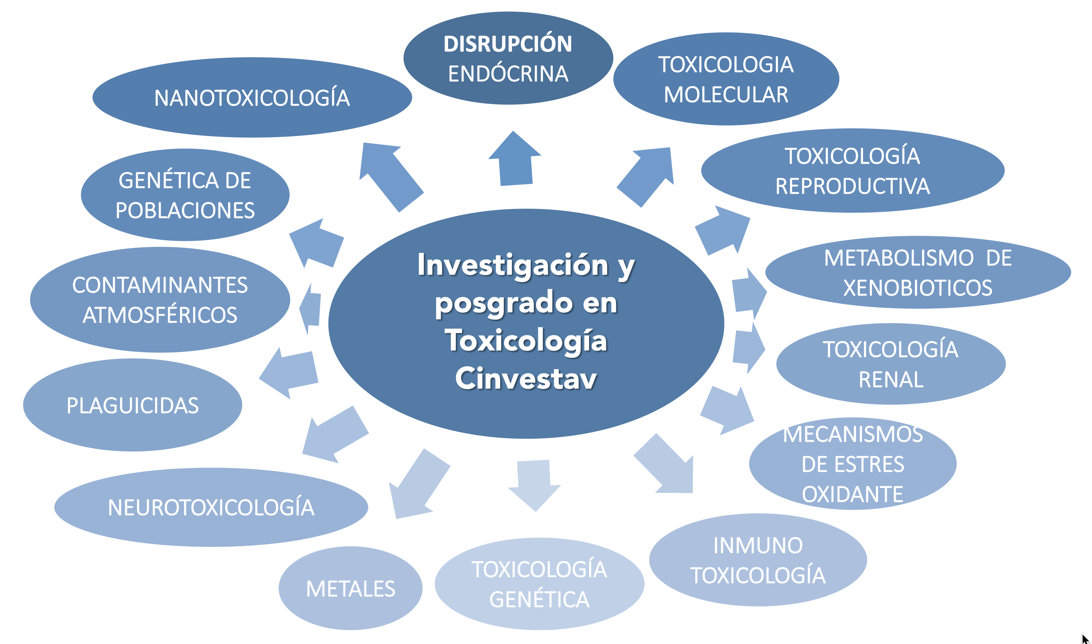 Líneas De Investigación